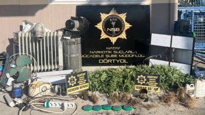 Hatay’ın Dörtyol ilçesinde evinin bahçesinde sığınak oluşturarak uyuşturucu yetiştiren şüpheli
