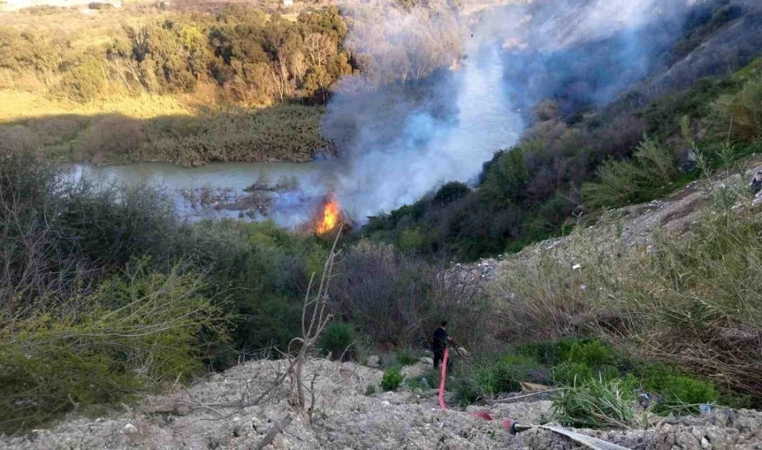 Hatay’ın Defne ilçesinde Asi