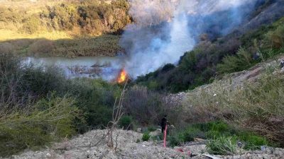 Hatay’ın Defne ilçesinde Asi Nehri’nin çevresinde bulunan sazlık alanında çıkan