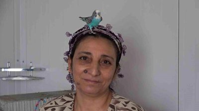 Hatay’da yaşayan Zarife Şengül, deprem anında yüzüne konarak kendini ve