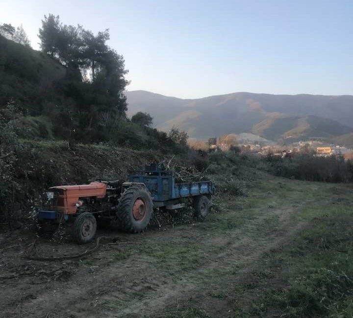 Antakya’da depremzedeler için yaptırılan