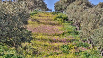 Çektiği güzel, anlamlı ve başarılı fotoğraflarla sık sık Hatay’ı görüntüleyen