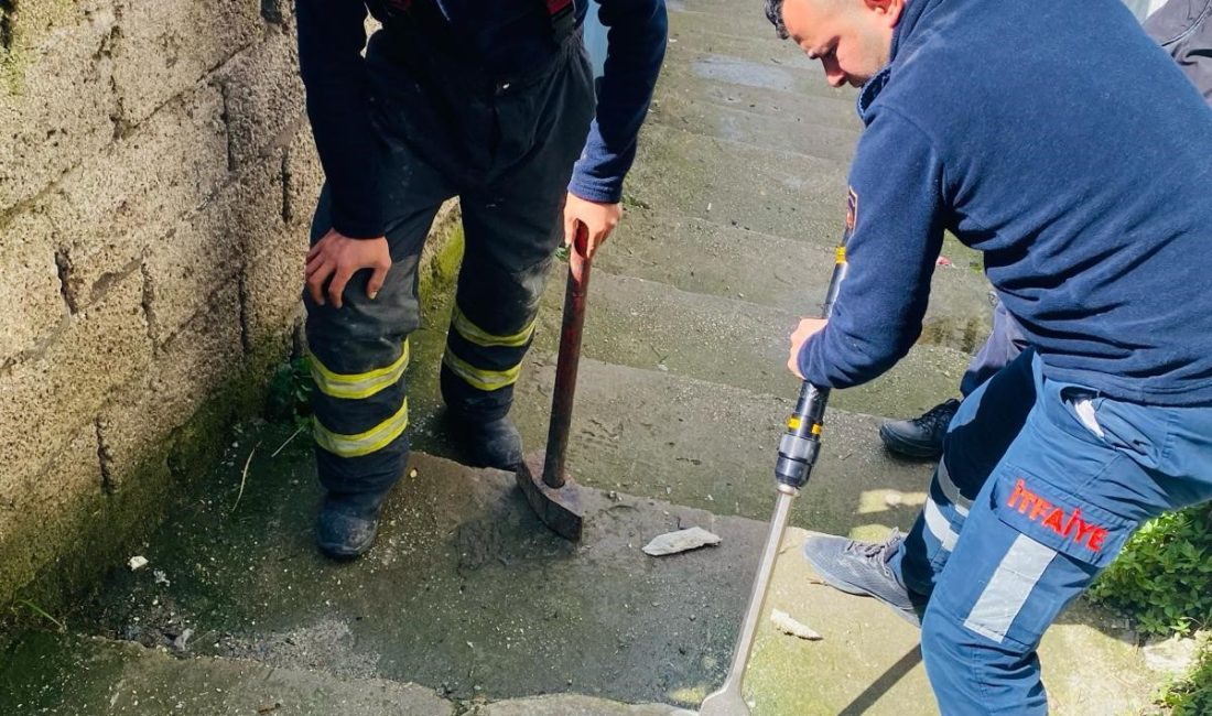 Antakya ilçesinin Kardeşler Mahallesinde