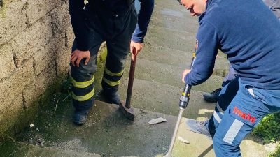 Antakya ilçesinin Kardeşler Mahallesinde meydana gelen olayda, bir kedinin mazgal