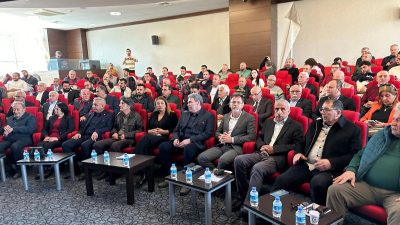 TMMOB Türkiye Mühendisler ve Mimar Odaları Birliği İskenderun İlçe Koordinasyon