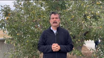 Türkiye İşçi Partisi’nin (TİP) Hatay Büyükşehir Belediye Başkan adayı olan