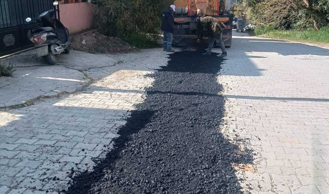 Hatay’ın Defne ilçesinde seçime