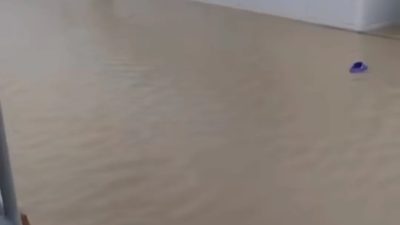 Hatay’da 25-26 Mart’ta hava soğudu, fırtınanın etkisiyle 20-30 yıllık ağaçlar