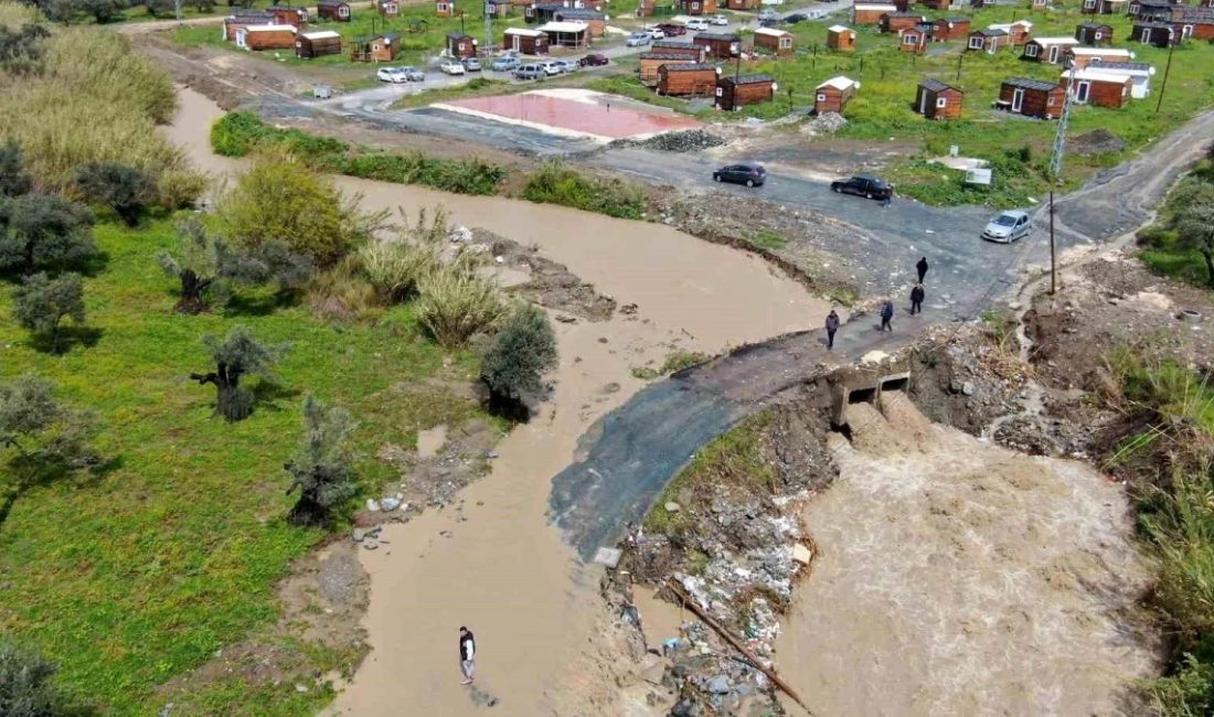 Hatay'da 50 bin TL