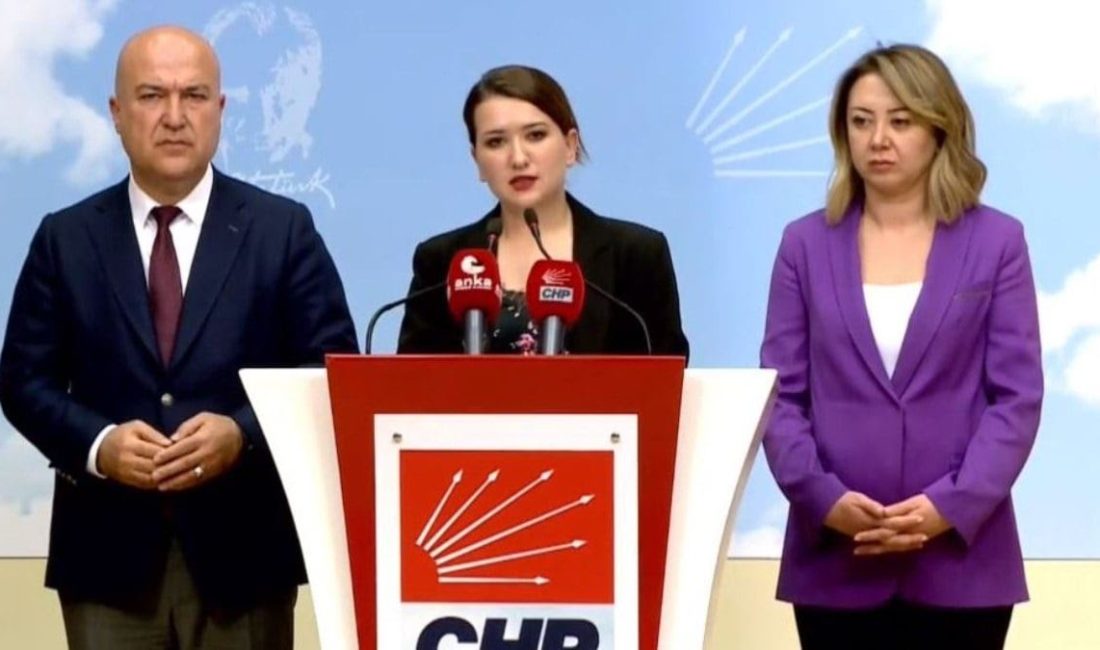 CHP Genel Başkan Yardımcısı