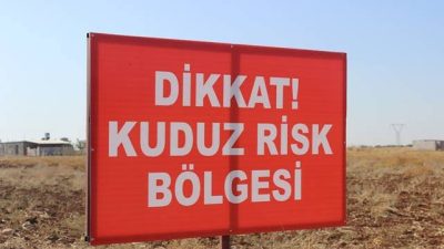 Defne İlçesi, Meydancık Mahallesi’nde 22 Nisan 2024 Salı günü, sahipsiz