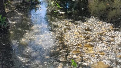 Hatay’ın Defne ilçesine bağlı Tavla Mahallesi Sakinleri kötü koku için
