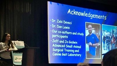 Mustafa Kemal Üniversitesi (MKÜ) Veteriner Fakültesi, uluslararası alanda önemli bir