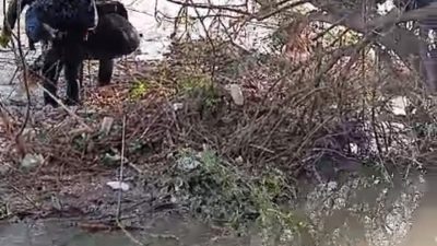 Hatay'daki Asi Nehri'nde erkek cesedi bulundu.