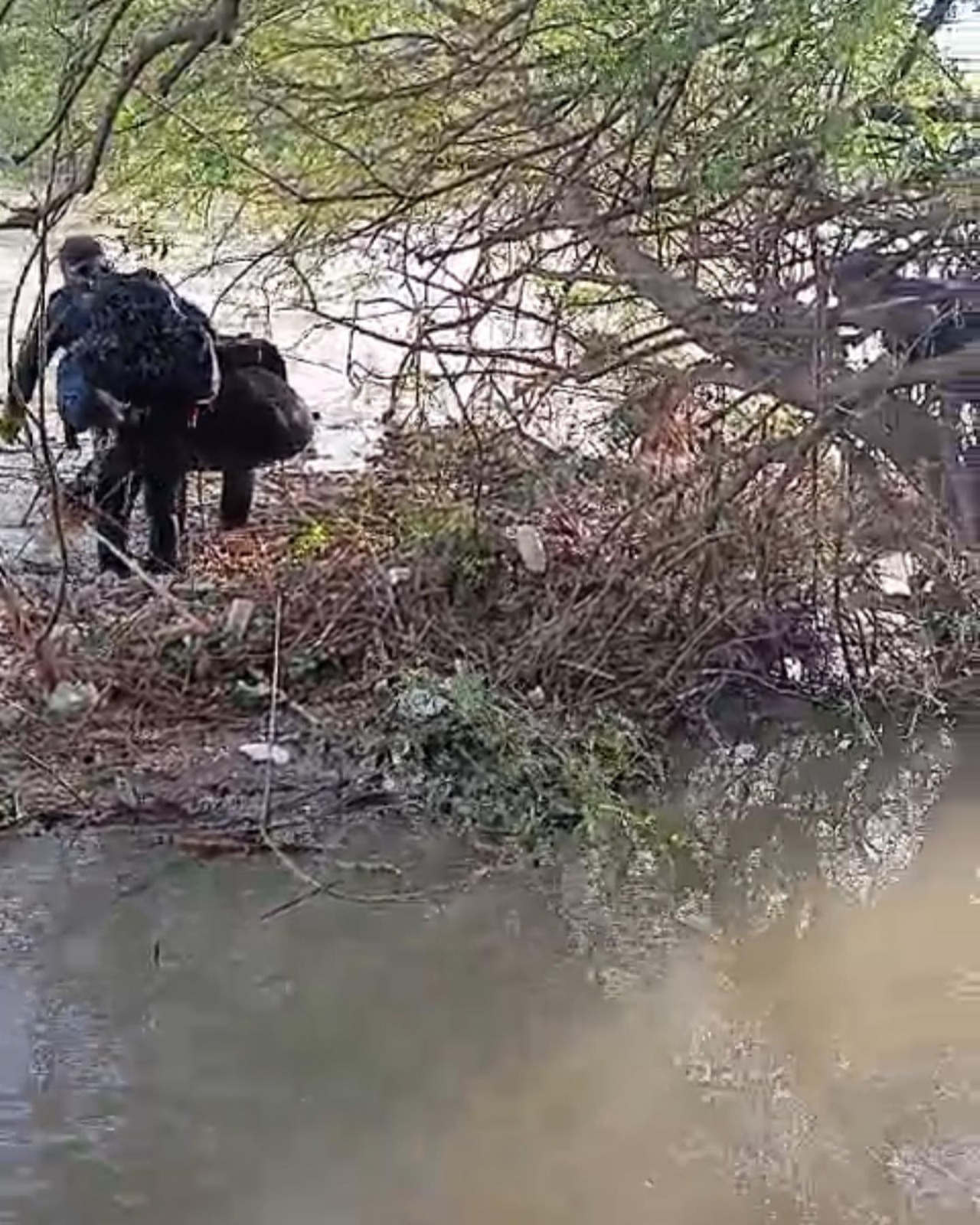 Asi Nehri’nde erkek cesedi bulundu