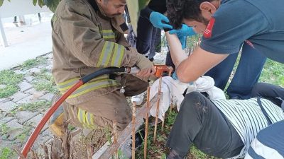 Hatay’ın İskenderun ilçesine bağlı Numune Mahallesi’nde meydana gelen bir kaza