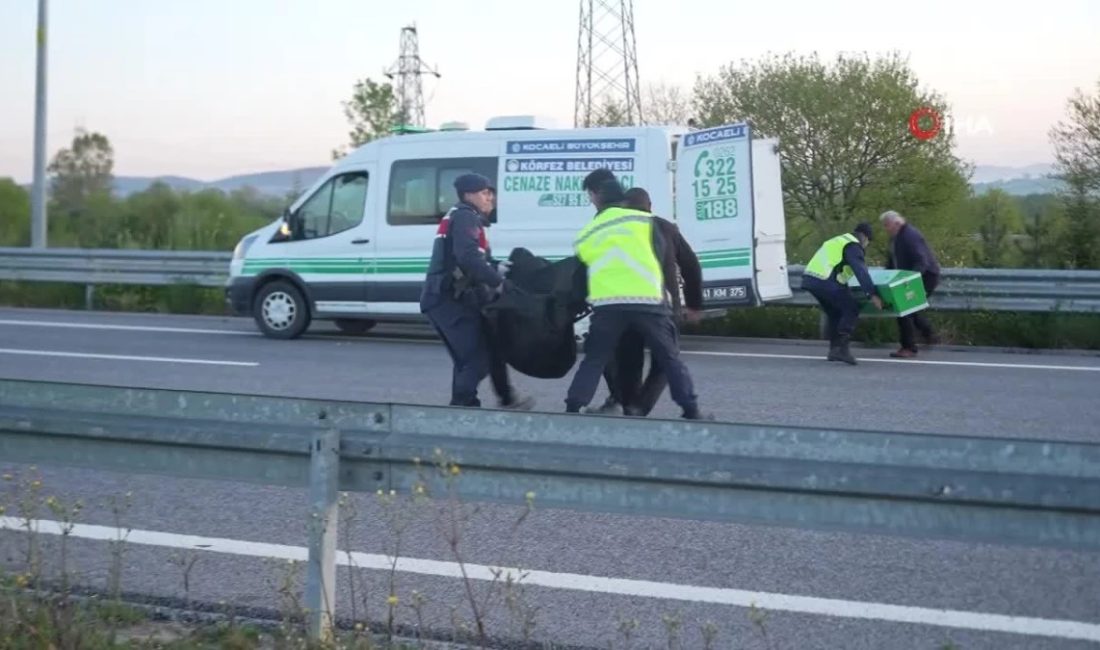 Kuzey Marmara Otoyolu’nun Kocaeli geçişinde otomobile