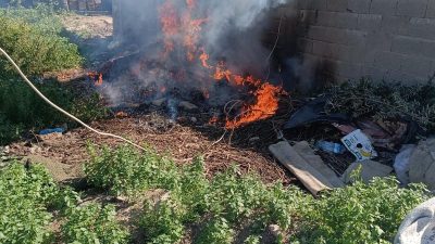 Hatay’ın Kumlu İlçesi Cumhuriyet Mahallesi’nde bugün meydana gelen bir bahçe