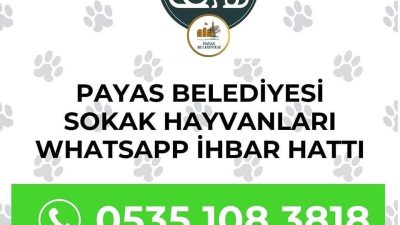 Payas Belediyesi, sevgi dolu bir çağrıda bulunarak, mahallelerdeki patili dostların
