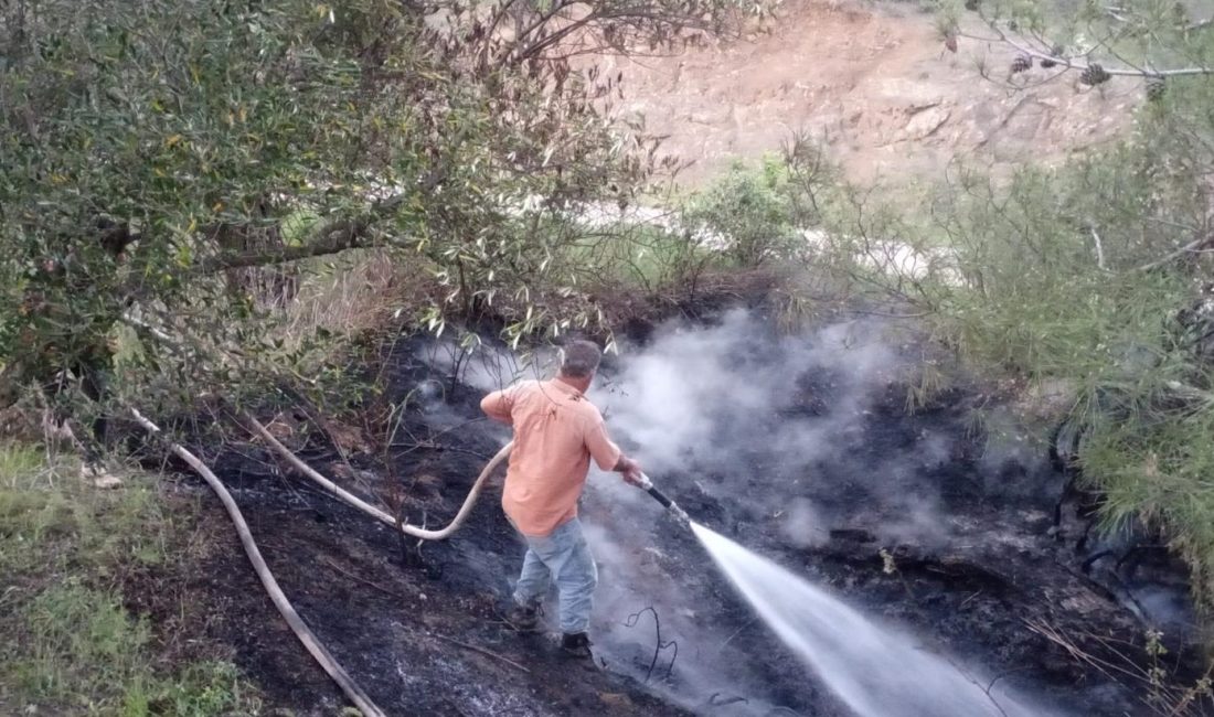 Hatay’ın Belen ilçesinde makilik