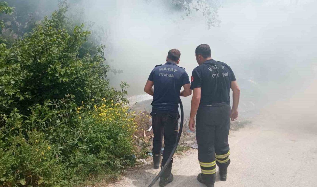 Hatay’ın Defne ilçesinde ağaçlık