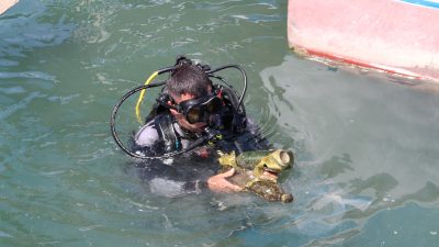Hatay'ın Dörtyol ilçesinde, 22 Nisan Dünya Günü kapsamında kıyı ve