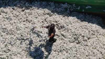 Asrın felaketinin yaralarının sarıldığı Hatay’da 3 bin depremzede çiftçiye 21.3