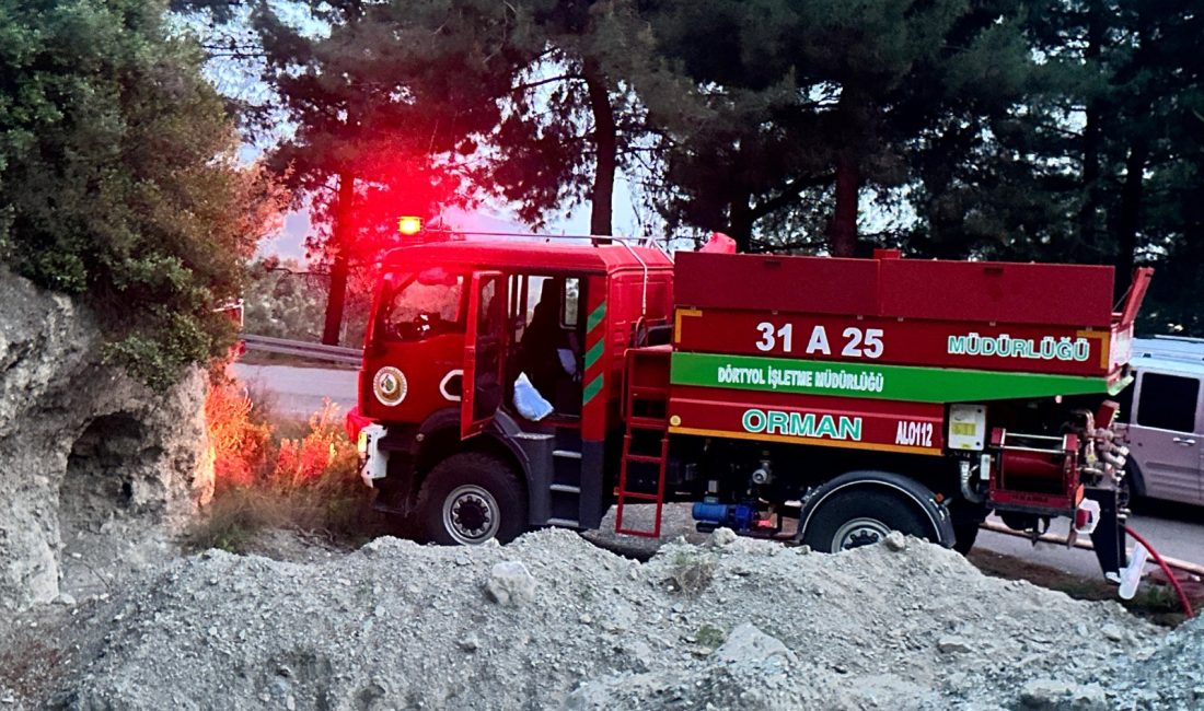 Hatay'ın Dörtyol ilçesinde ormanlık