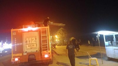 Hatay’ın Samandağ ilçesinde bir ağaçta mahsur kalan kedi, itfaiye ekiplerince