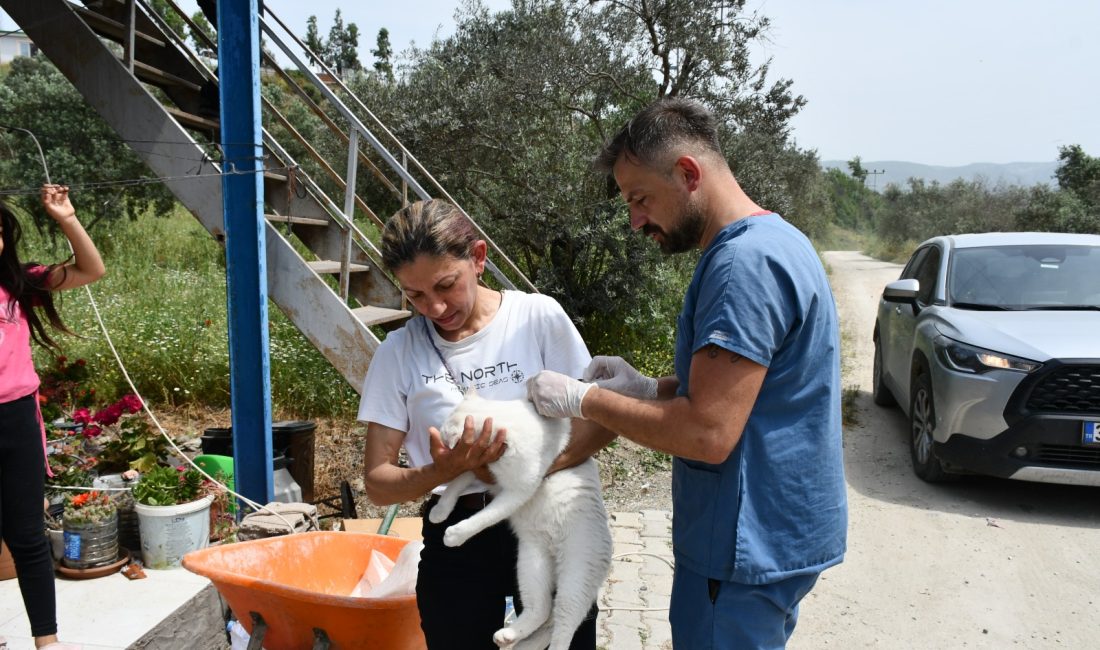 Hatay’ın Defne ilçesinde ölen