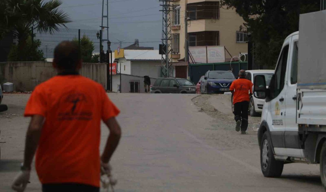 Hatay’ın Defne ilçesinde 2