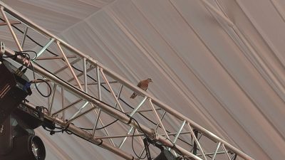 Hatay’ın yeniden canlanması ve ihyası kapsamında mimari proje ve sunumların