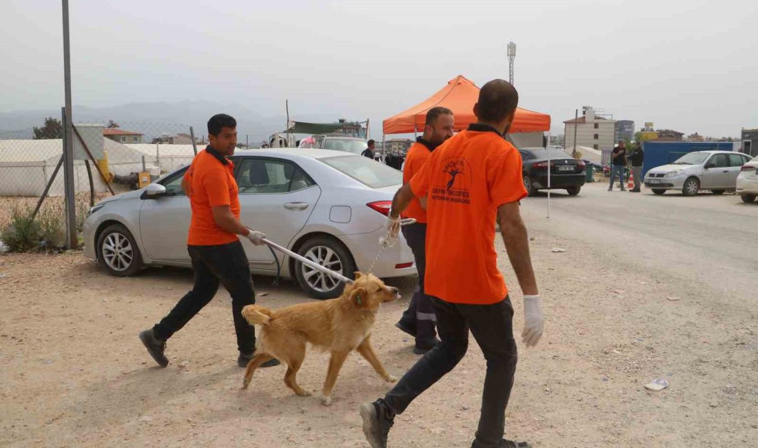 Hatay’ın Defne ilçesinde meydana