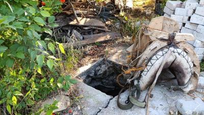 Eşek kuyuya düşer mi? Demek düşermiş… Eşeklik yapan eşek, düştüğü