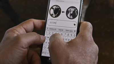 Tarım ve Orman Bakanı İbrahim Yumaklı, bakanlığın Kurban Bayramı için