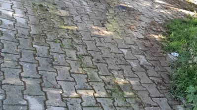 Defne ilçesi Aşağıokçular ilköğretim okulu arkasında bulunan ve 112 Acil