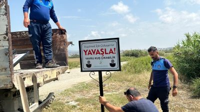 Samandağ Belediyesi, ilçenin doğal güzelliklerine sahip çıkma adına dünyanın en