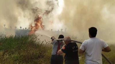 Dörtyol İlçesi’nde bulunan Dörttaş sazlıklarında çıkan yangın, itfaiye ekiplerinin hızlı