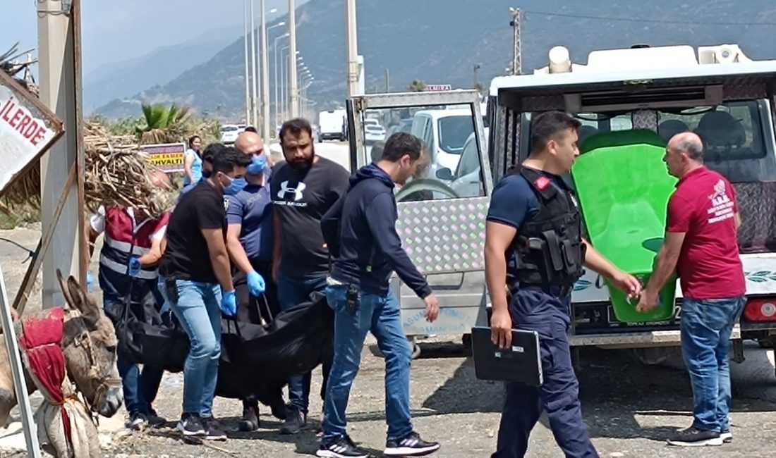 Hatay’ın Samandağ ilçesinde kumsalda