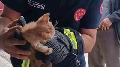 Hatay’ın Yayladağı ilçesinde boruya sıkışan yavru kedi itfaiye ekipleri tarafından