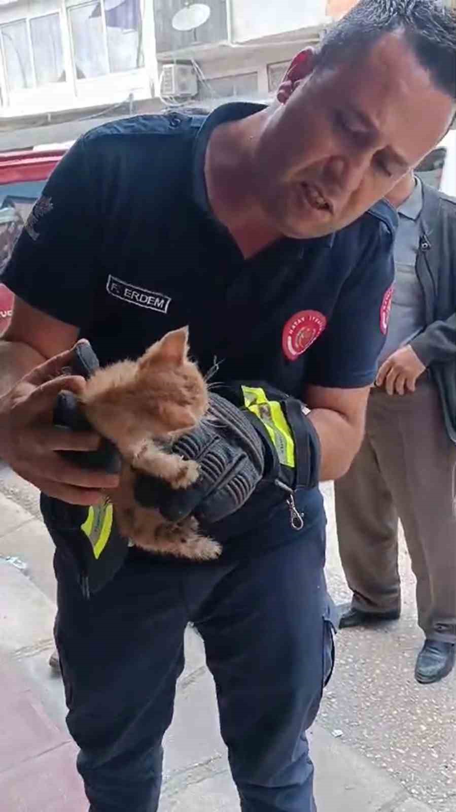 Boruya sıkışan yavru kedi, kurtarıldı