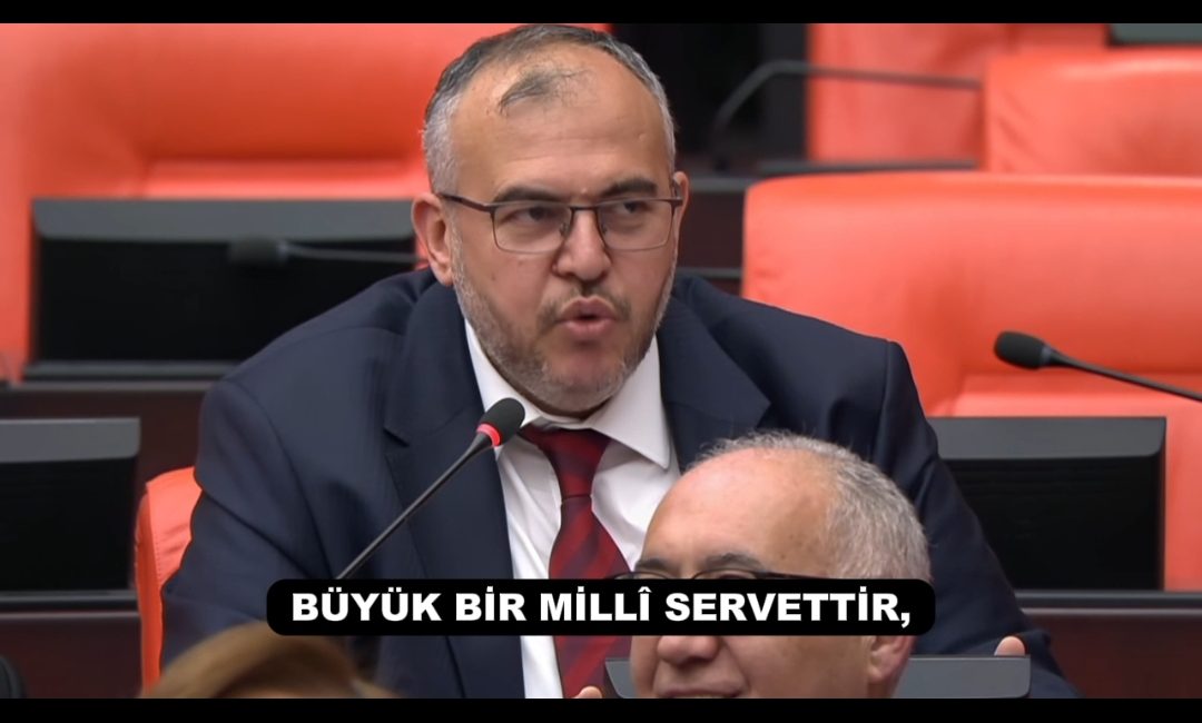 Saadet Partisi Hatay Milletvekili