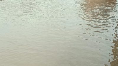 Hatay Milletvekili Suzan Şahin, İskenderun sahil bandında yaşanan deniz suyu