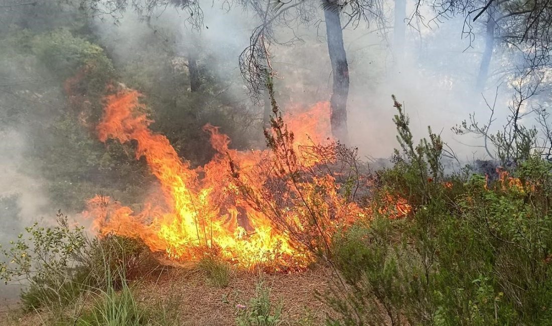 Hatay’ın Yayladağı ilçesinde meydana