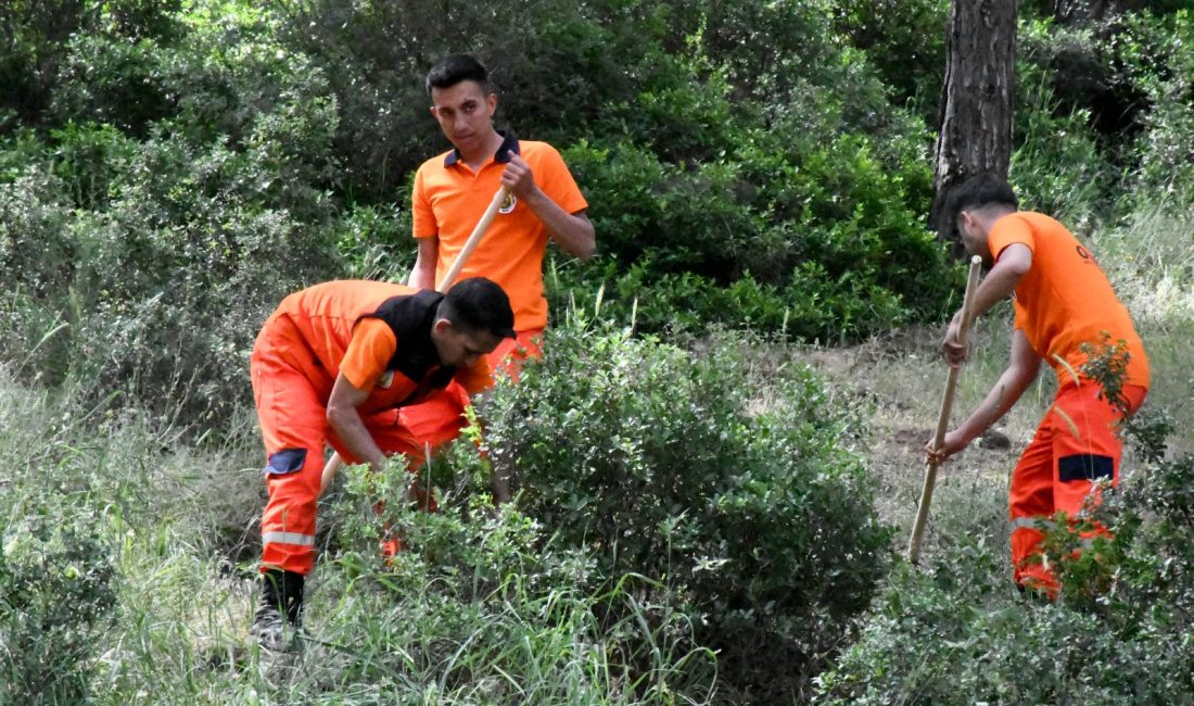 Hatay’da orman yangınlarının önlenmesi,