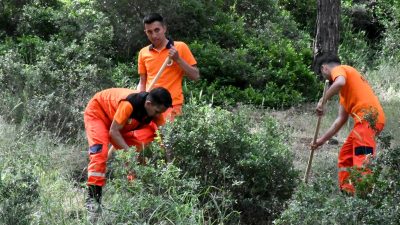 Hatay’da orman yangınlarının önlenmesi, olası yangın sayılarının ve şiddetinin düşürülerek