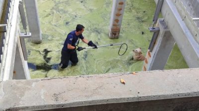 İskenderun’un Meydan Mahallesi’nde bulunan bir arıtma tesisi, dikkat çeken bir