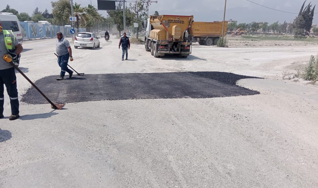 Hatay Büyükşehir Belediyesi, il