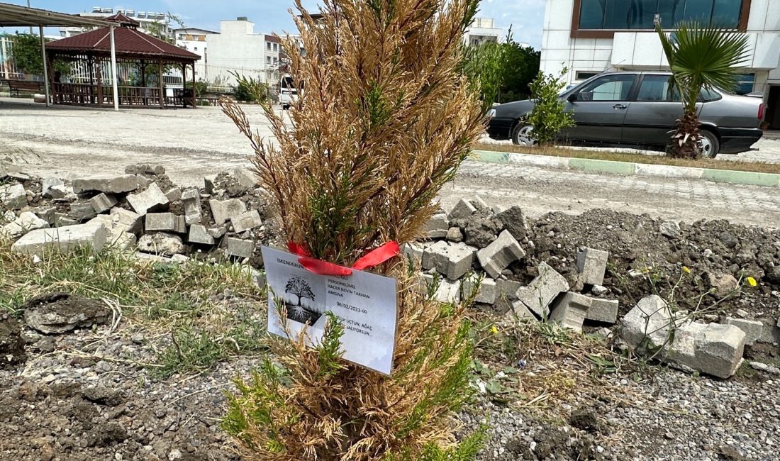 Hatay’ın İskenderun ilçesinde, depremde