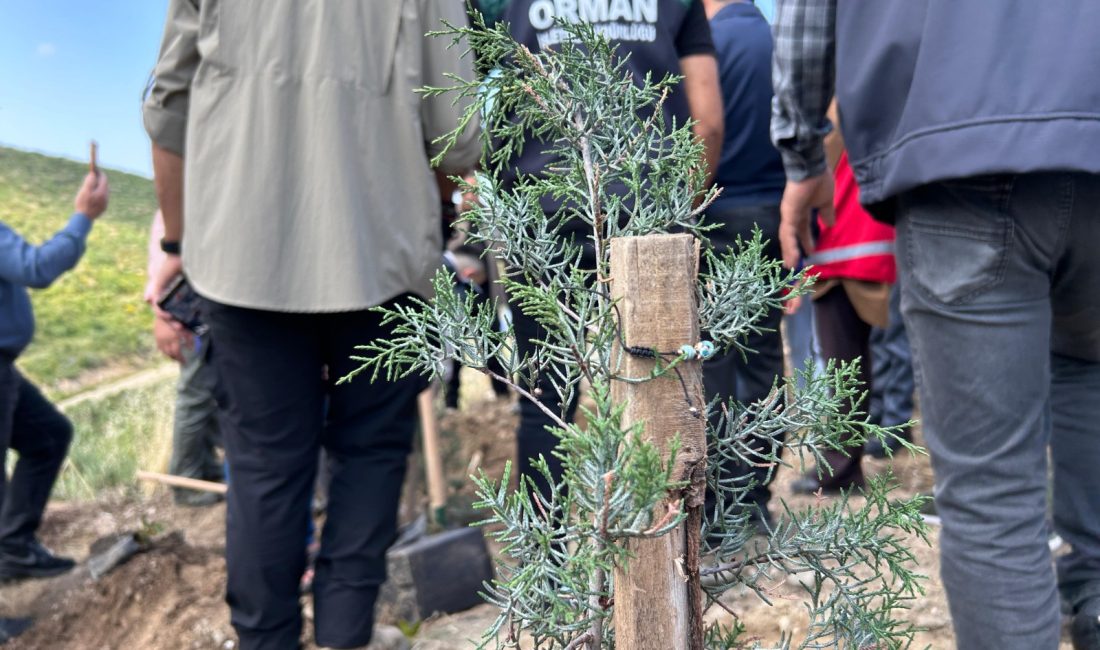 Hatay’da “Orman Benim” Kampanyası Kapsamında Fidan Dikimi Gerçekleştirildi. Hatay’ın Arsuz